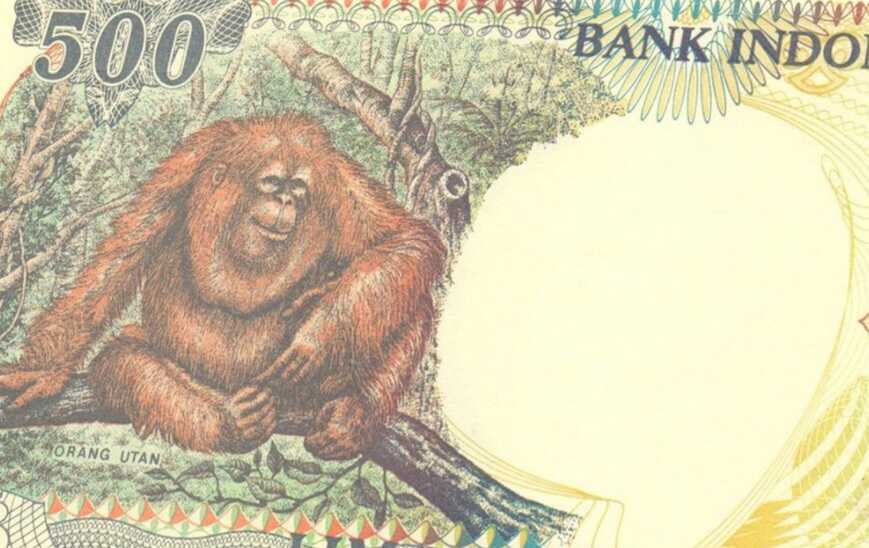 Uang Kuno Indonesia Ini Kalau Dijual Bisa Buat Beli Mobil Lho!
