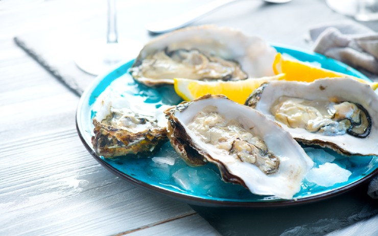 Oyster termasuk makanan mahal di dunia