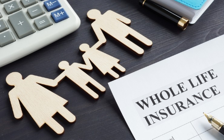 whole insurance