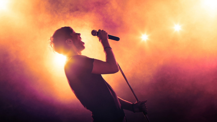 Musisi tengah konser (Shutterstock).
