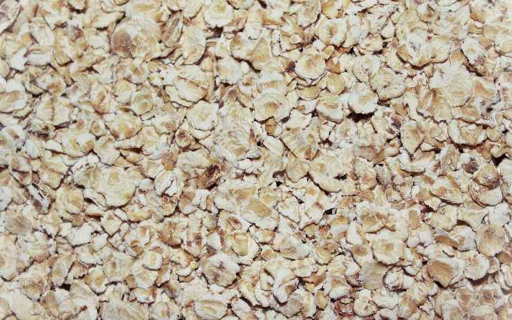 Oatmeal