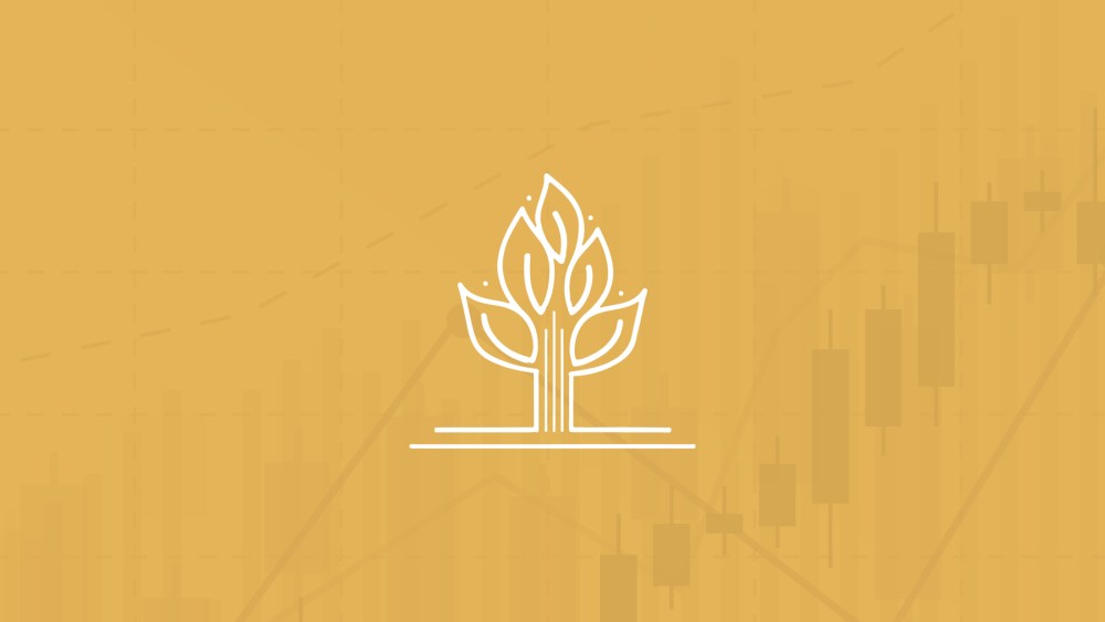 Profil Narada Asset Management Produk Reksa Dana Dan Info Terbaru<script async src=