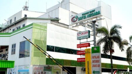 rumah sakit satya negara