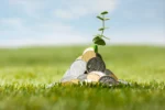paydi adalah | Lifepal.co.id
