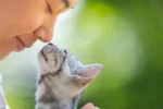 asuransi hewan | lifepal.co.id