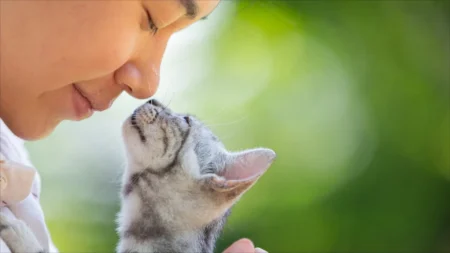asuransi hewan | lifepal.co.id