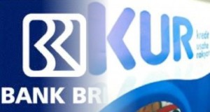 BRI KUR Kredit Usaha Rakyat