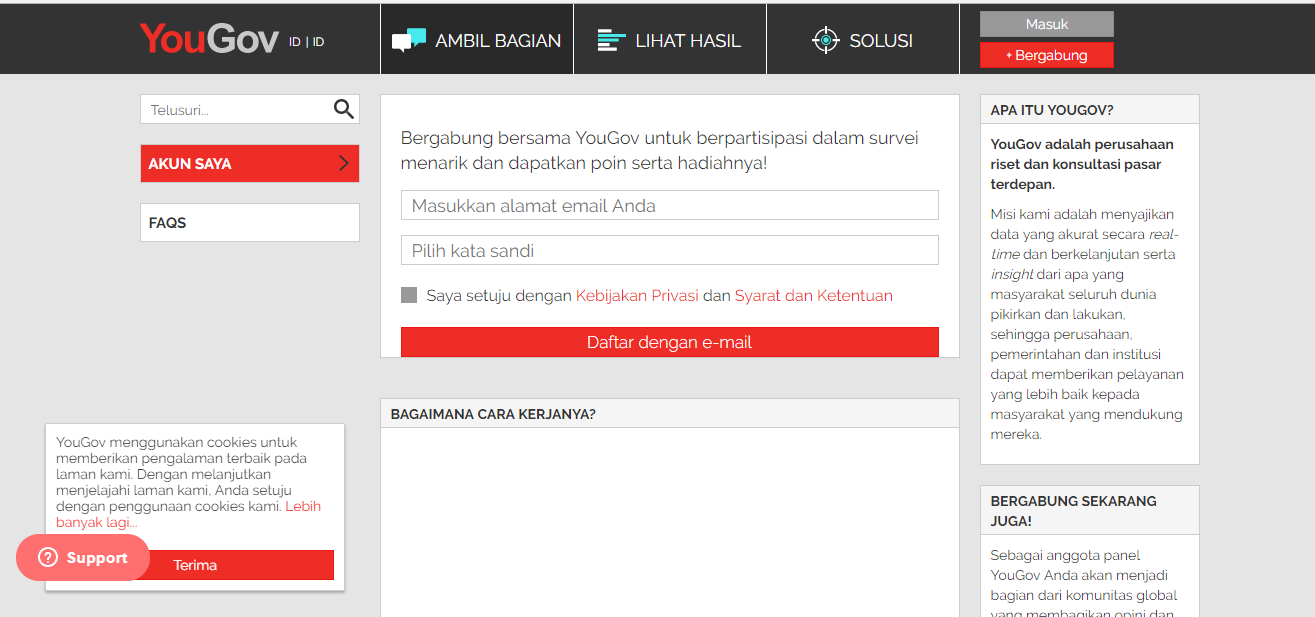 Survey online Indonesia
