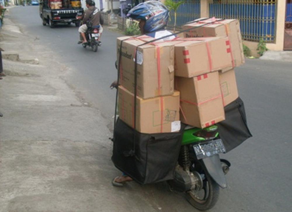 peluang kerja