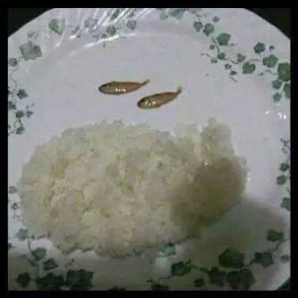 Meme sahur