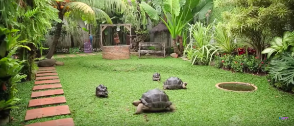 taman rumah