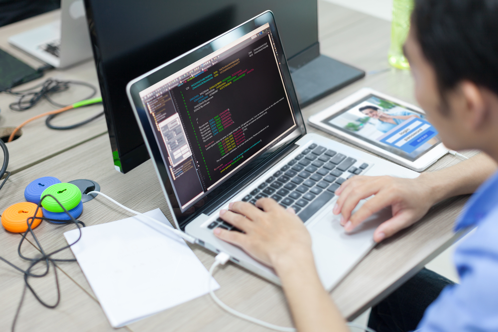 Software developer