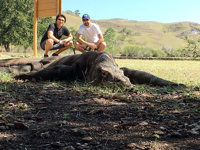 Reino Barack ke Pulau Komodo (IG reinobarack)