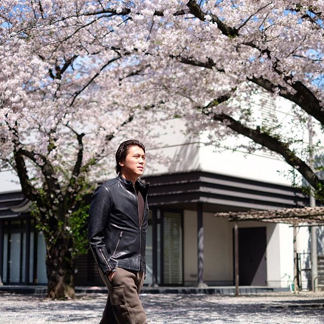 Reino Barack menikmati keindahan bunga sakura (IG reinobarack)