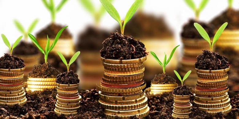 Makna return dalam investasi reksa dana. (Shutterstock)