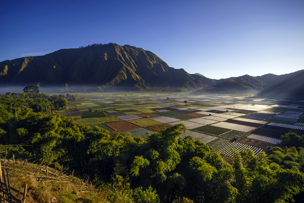 Indahnya Lombok. (Shutterstock)
