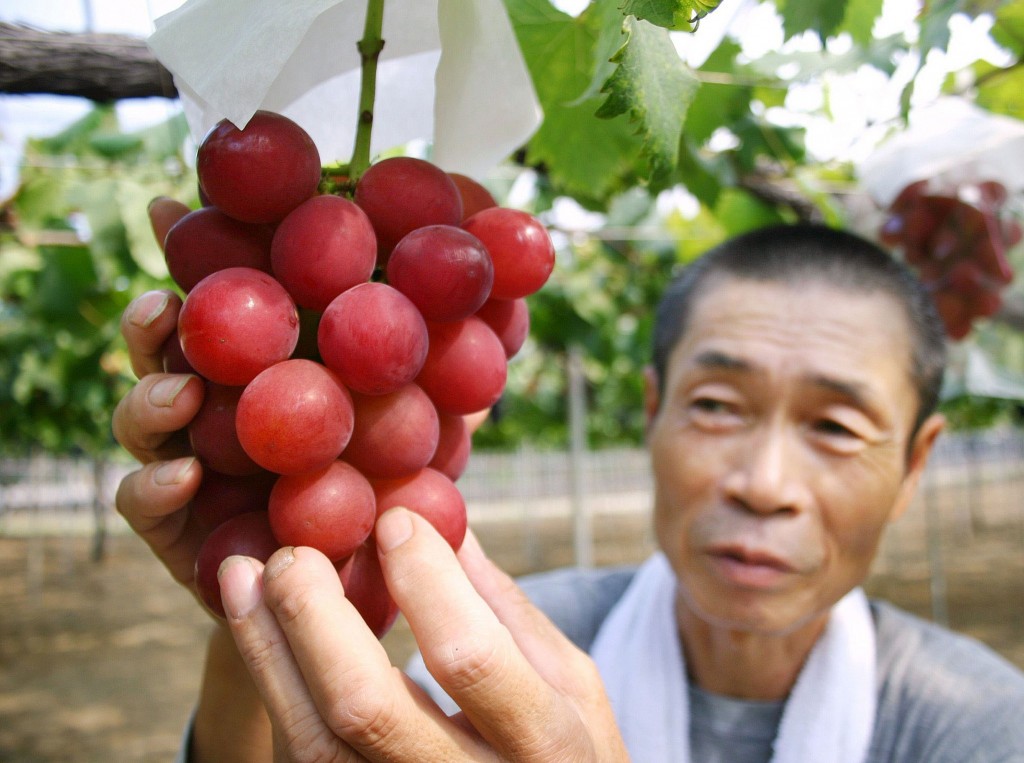 makanan jepang