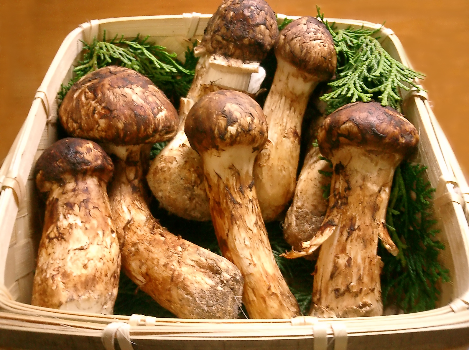 makanan jepang