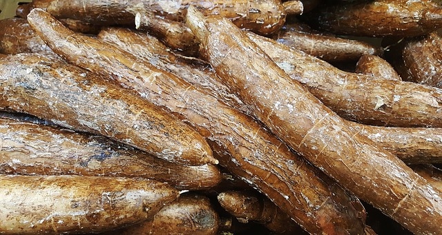 makanan karbohidrat