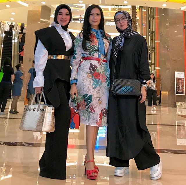 Iis dahlia