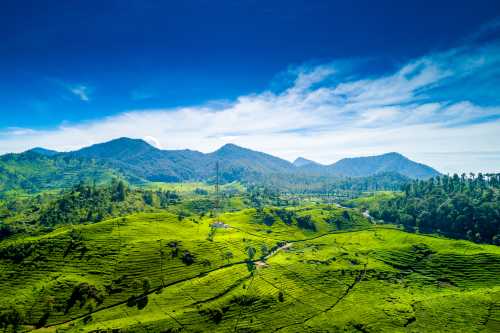wisata Ciwidey