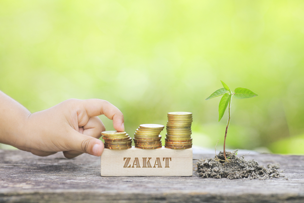 Zakat profesi