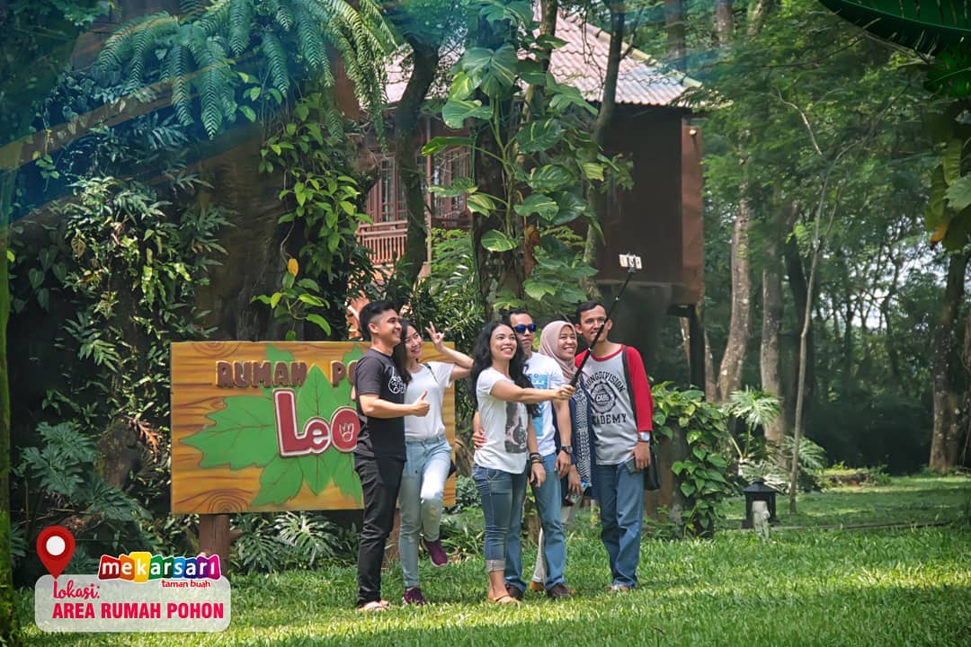 rumah pohon