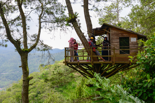 rumah pohon