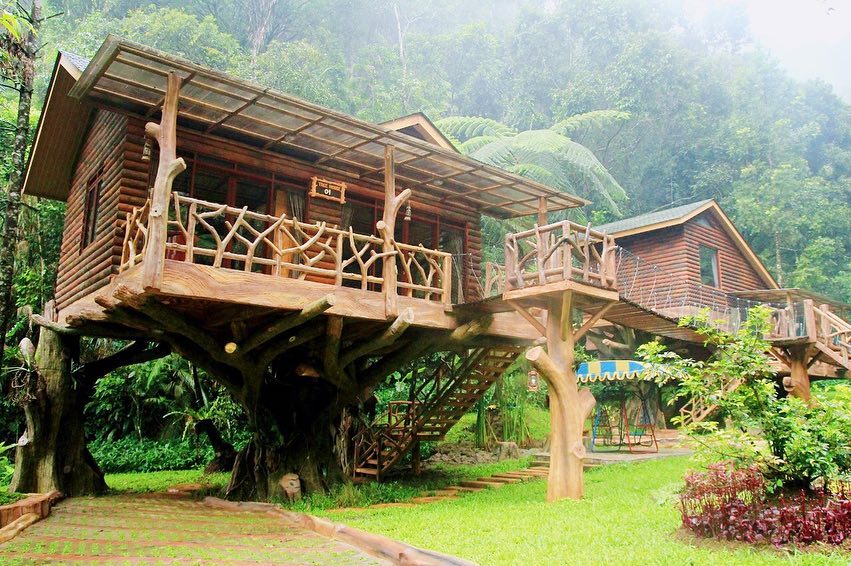 rumah pohon