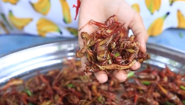usaha makanan unik dan kreatif