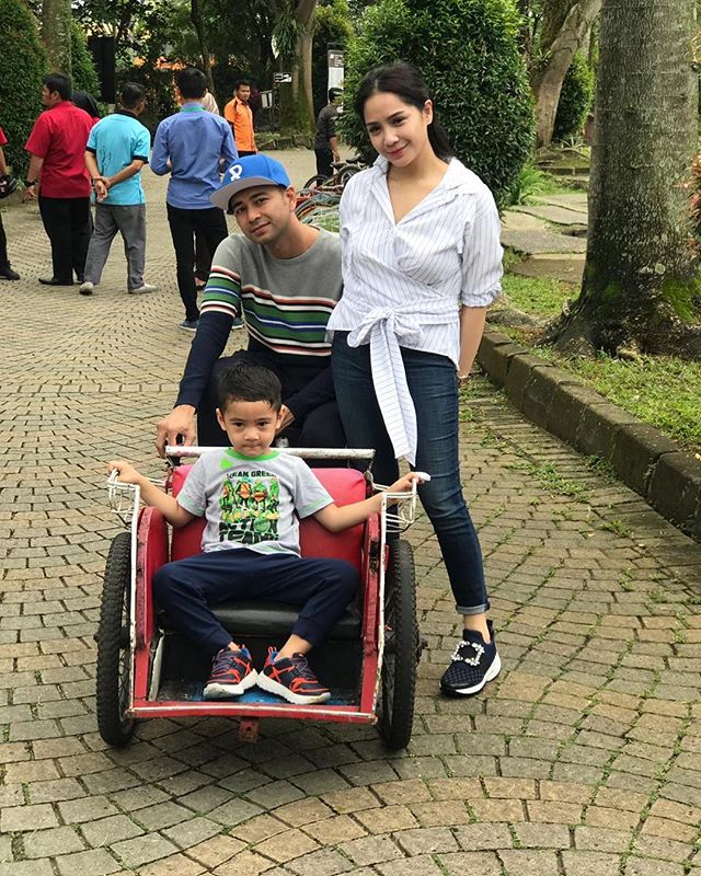 artis indonesia
