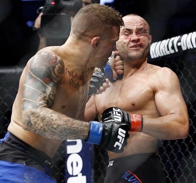 Bakal Hadapi Khabib Nurmagomedov Inilah Petarung Dengan Bayaran Rp 4 Miliar<script async src=