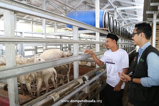 qurban online