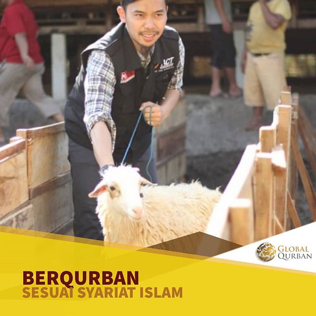 qurban online