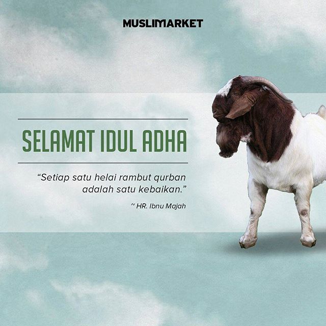 qurban online