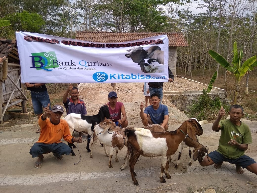 qurban online