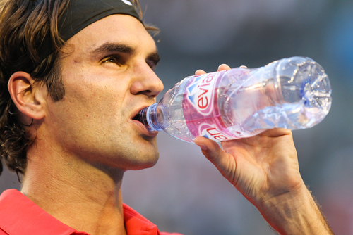 roger federer