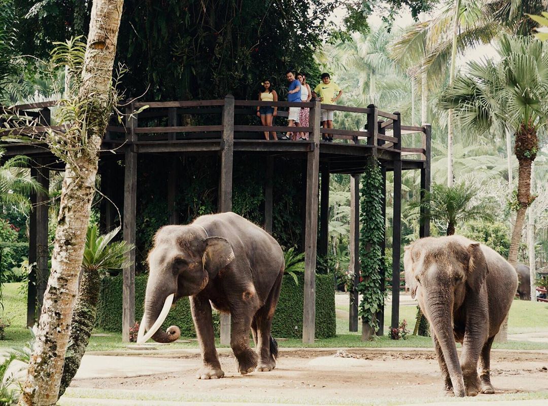 wisata ubud