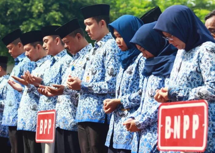 CPNS 2019