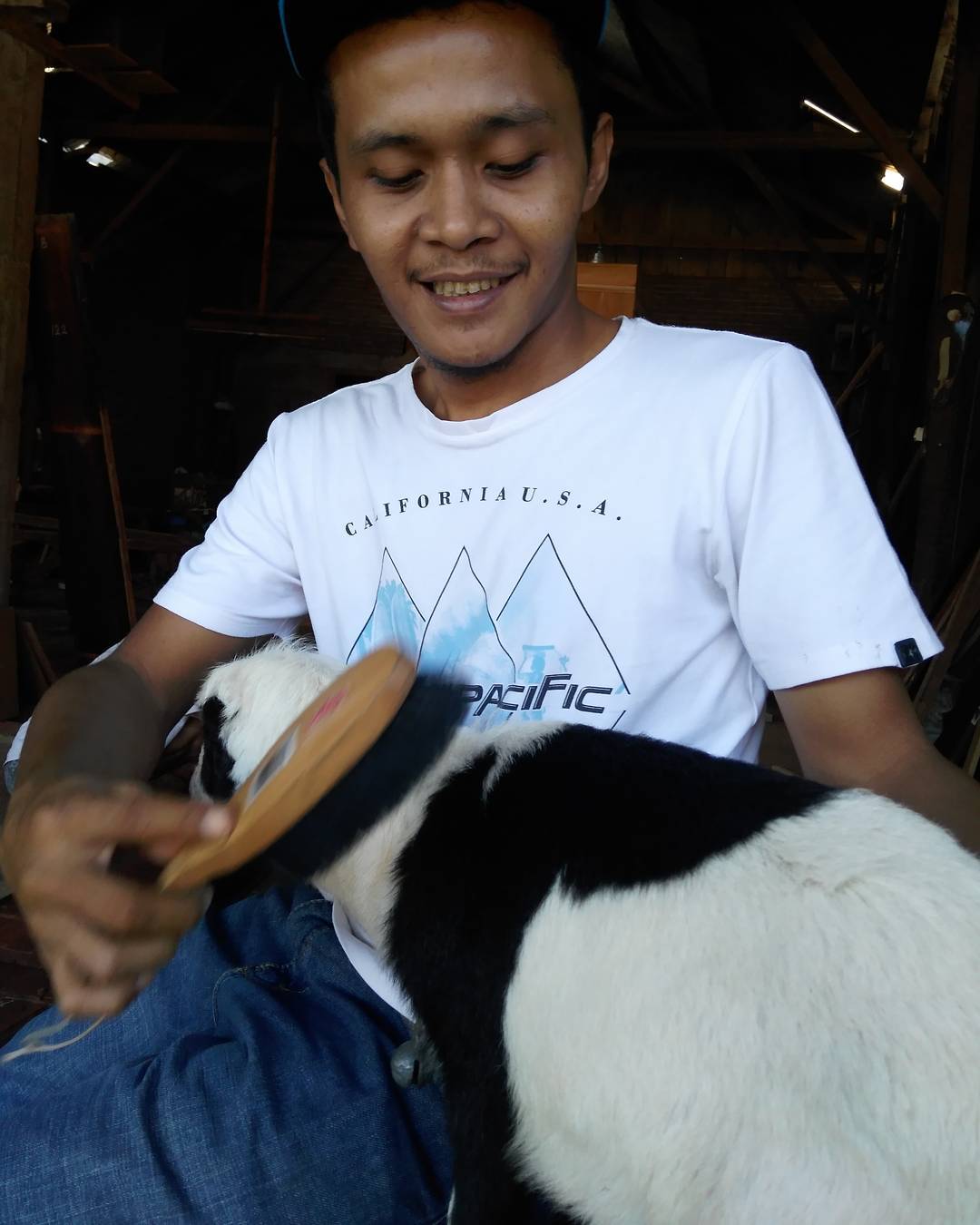 jenis profesi idul adha
