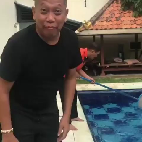 rumah artis