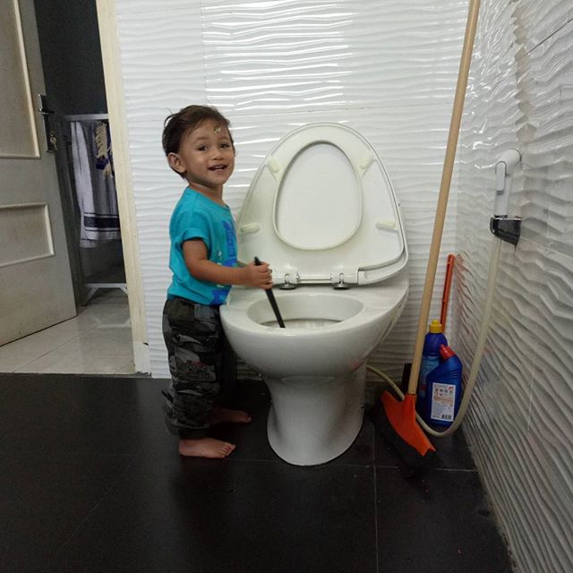 arumi bachsin