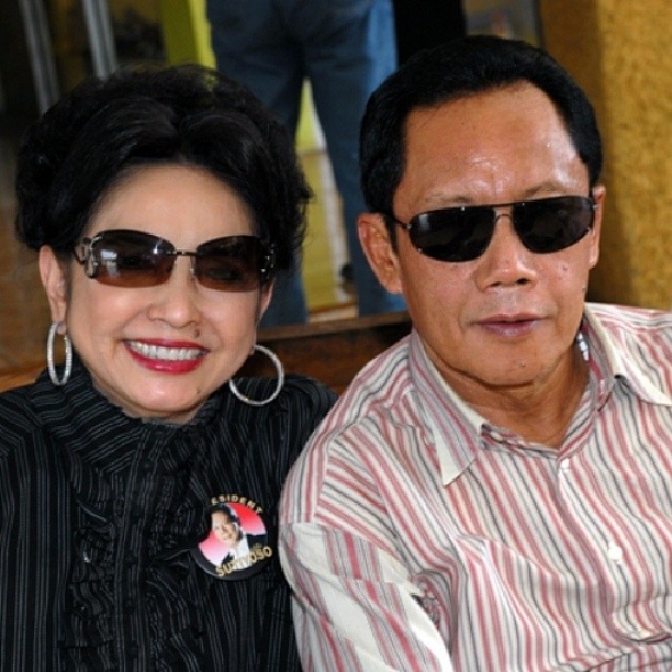 hewan peliharaan