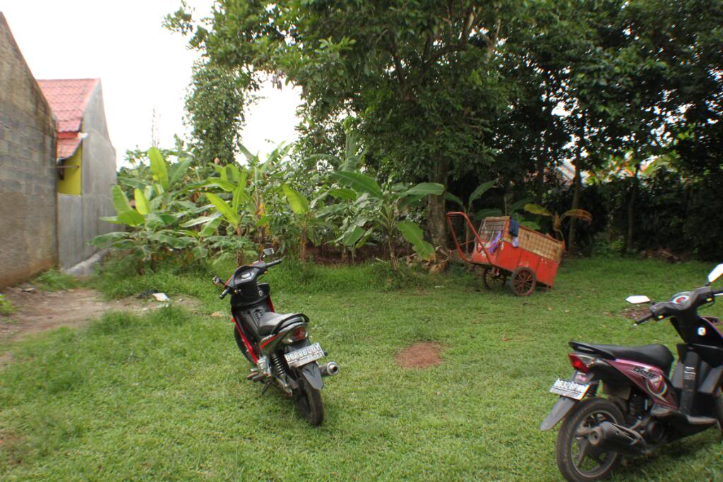 tanah