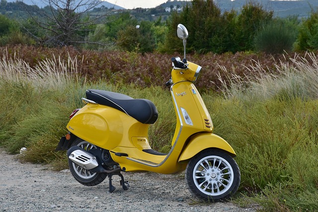 Vespa matic