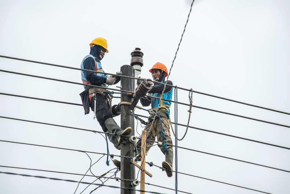 PT PLN