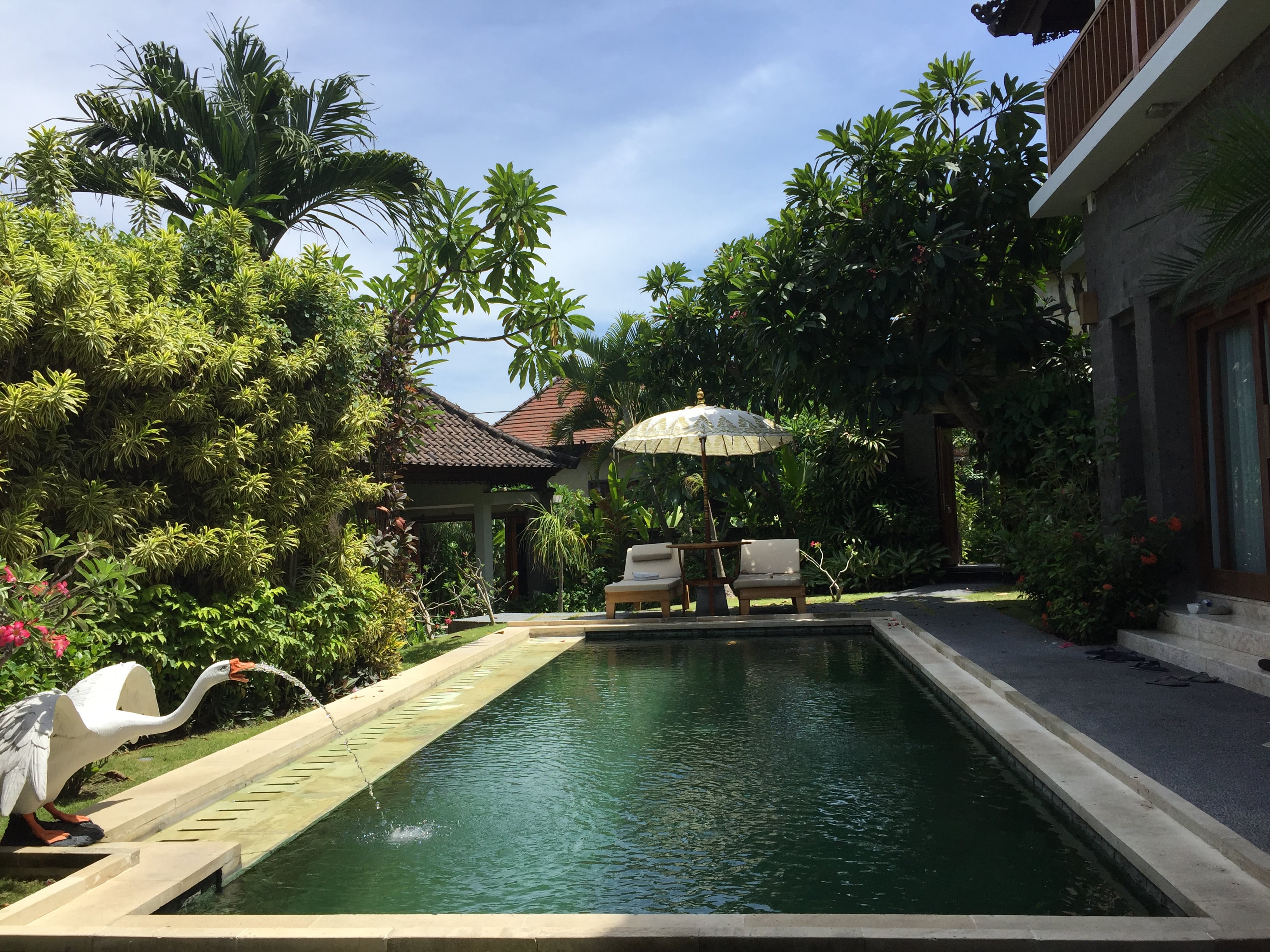 Staycation