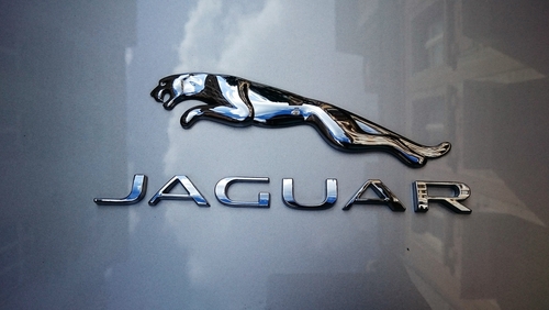 jaguar