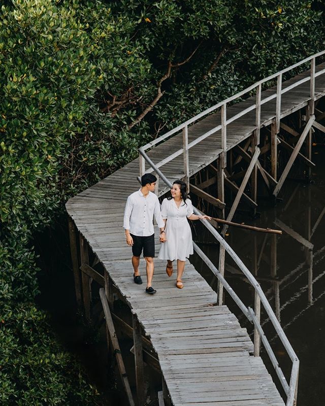 hutan mangrove