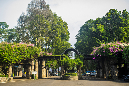 institut teknologi bandung